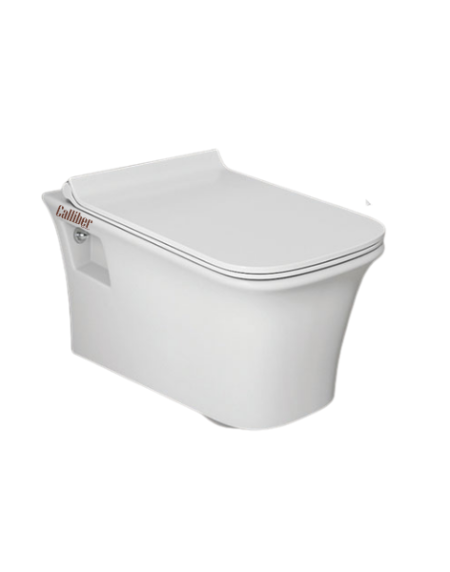 C755 Wall Hung Toilet Seat