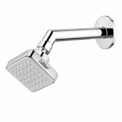 1313 Shower With Arm