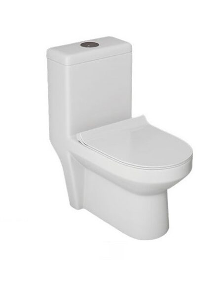 C717 One Piece Toilet Seat