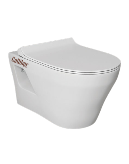 C728 Wall Hung Toilet Seat