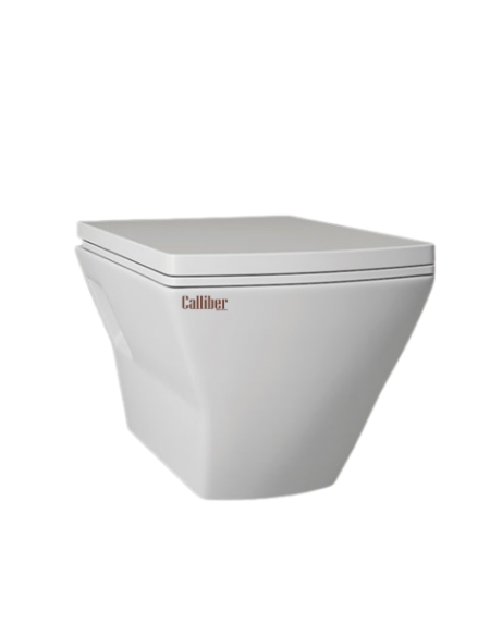 C756 Wall Hung Toilet Seat