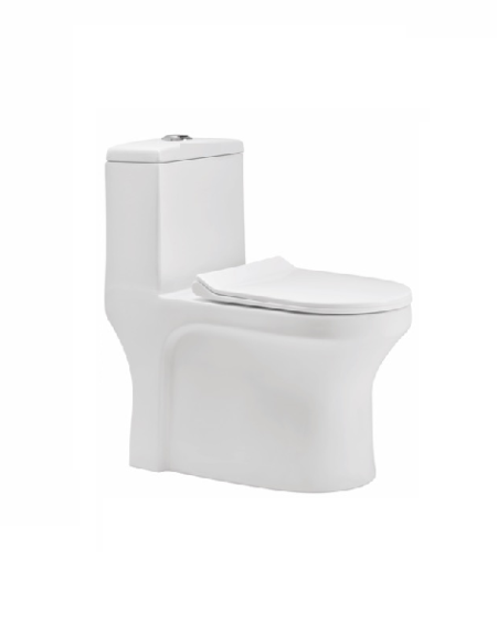 C801 One Piece Toilet Seat