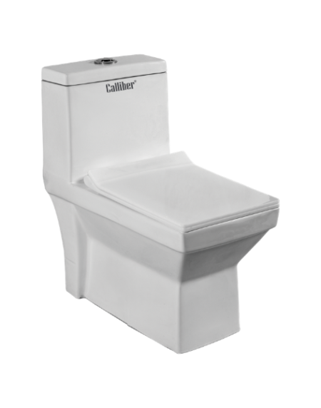 C1011 6D One Piece Toilet Seat