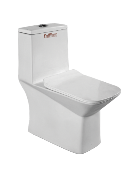 C1002 6D One Piece Toilet Seat
