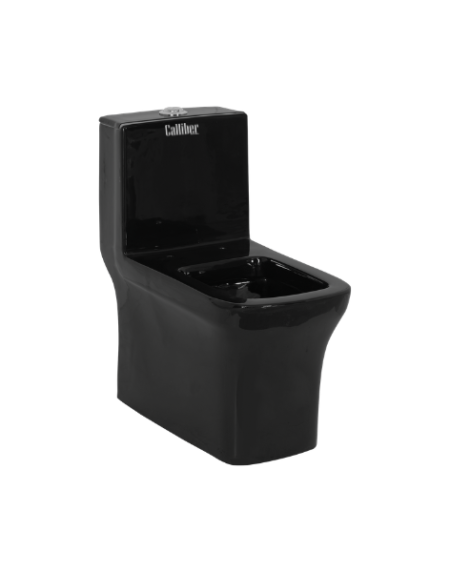 C1003 Black One Piece Toilet Seat